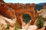 06 - Bryce Canyon NP (7)